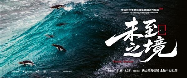 六载同行 骁龙与中国国家地理以影像技术呈现未至之境的生命力量